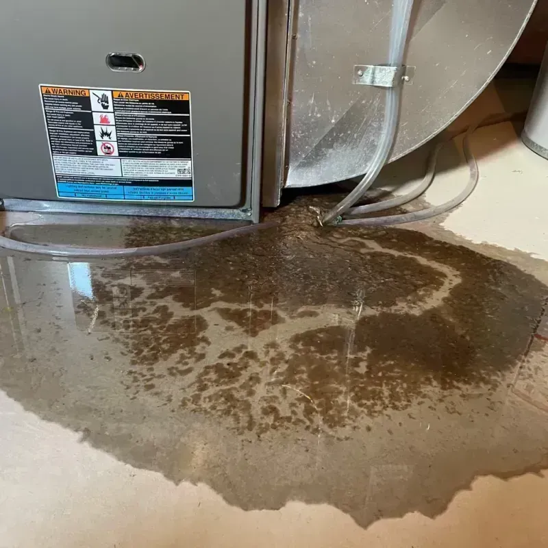 Appliance Leak Cleanup in Winchester, IL